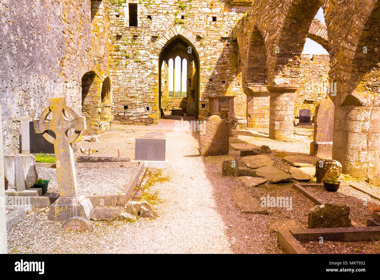 Viste intorno timoleague convento in West Cork in Irlanda, il convento è stato sul sito poiché circa 1240AD. Una sede di apprendimento poi incendiato. Foto Stock Viste intorno timoleague convento in West Cork in Irlanda, il convento è stato sul sito poiché circa 1240AD. Una sede di apprendimento poi incendiato. Foto Stock