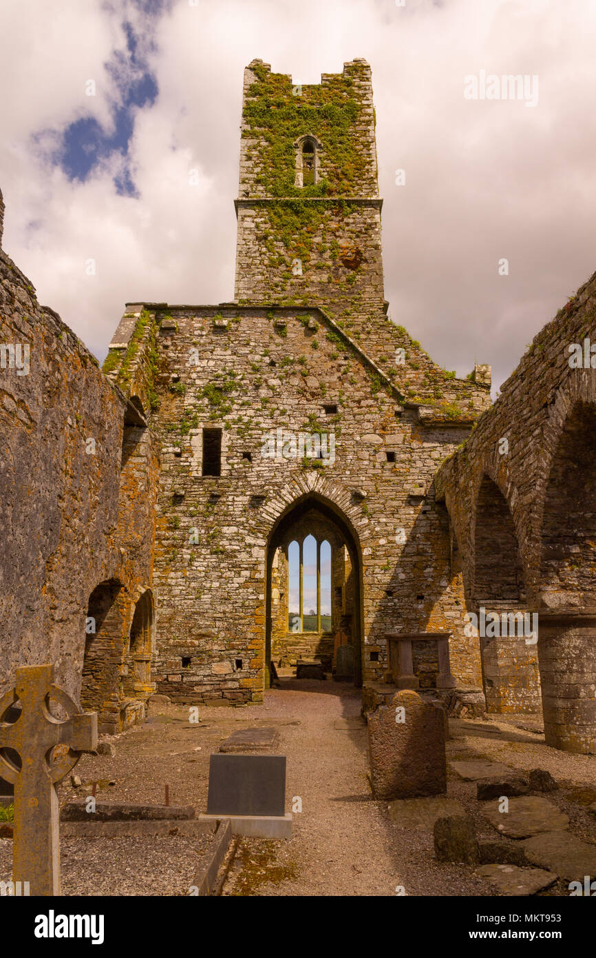 Viste intorno timoleague convento in West Cork in Irlanda, il convento è stato sul sito poiché circa 1240AD. Una sede di apprendimento poi incendiato. Foto Stock Viste intorno timoleague convento in West Cork in Irlanda, il convento è stato sul sito poiché circa 1240AD. Una sede di apprendimento poi incendiato. Foto Stock