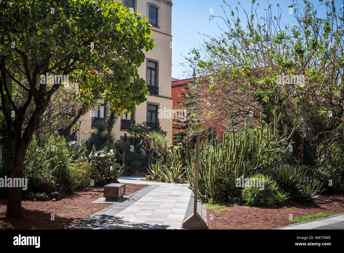 Cortile giardino e il Palazzo Nazionale, Palacio Nacional, il palazzo del governo, Città del Messico, Messico Foto Stock