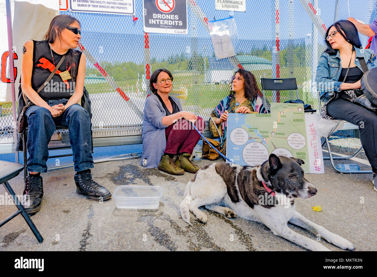 Il romanziere canadese Shaena Lambert e altri blocco Kinder Morgan Pipeline ingresso terminale di gate, Burnaby Mountain, British Columbia, Canada. Foto Stock
