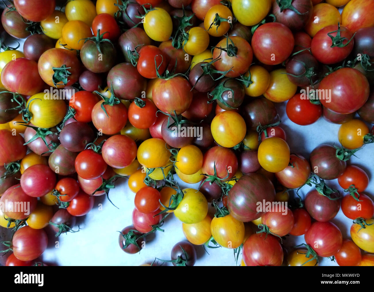 Un arcobaleno di minuscoli pomodori fanno per deliziose insalate e gustosi fotografie Foto Stock