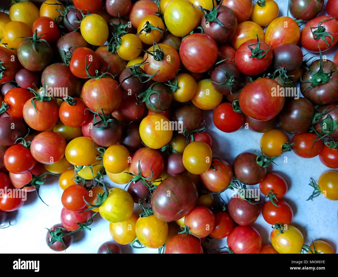 Un arcobaleno di minuscoli pomodori fanno per deliziose insalate e gustosi fotografie Foto Stock