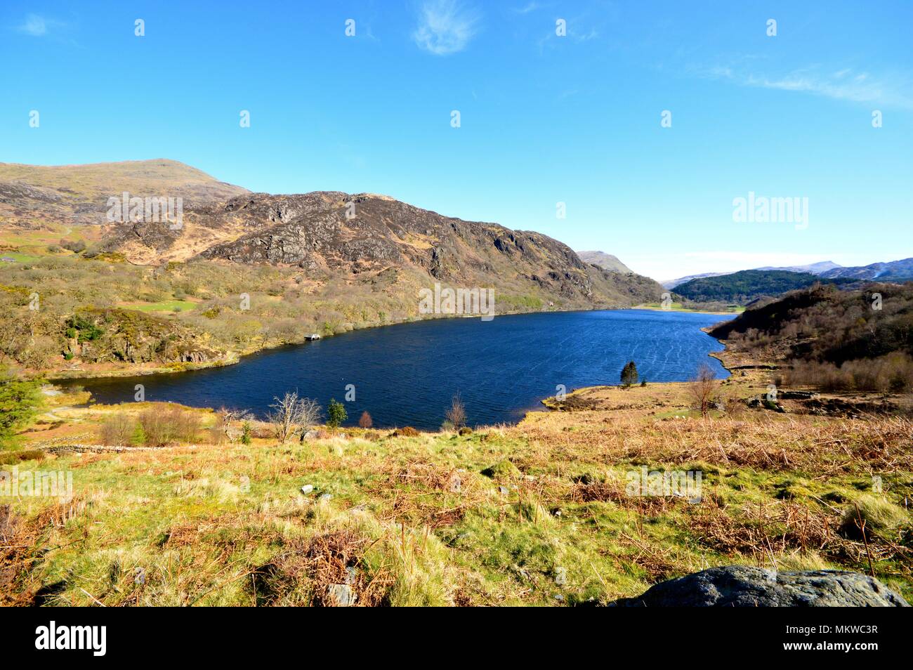 Llyn Dinas nel Parco Nazionale di Snowdonia. Alla scoperta del nord del Galles. Foto Stock