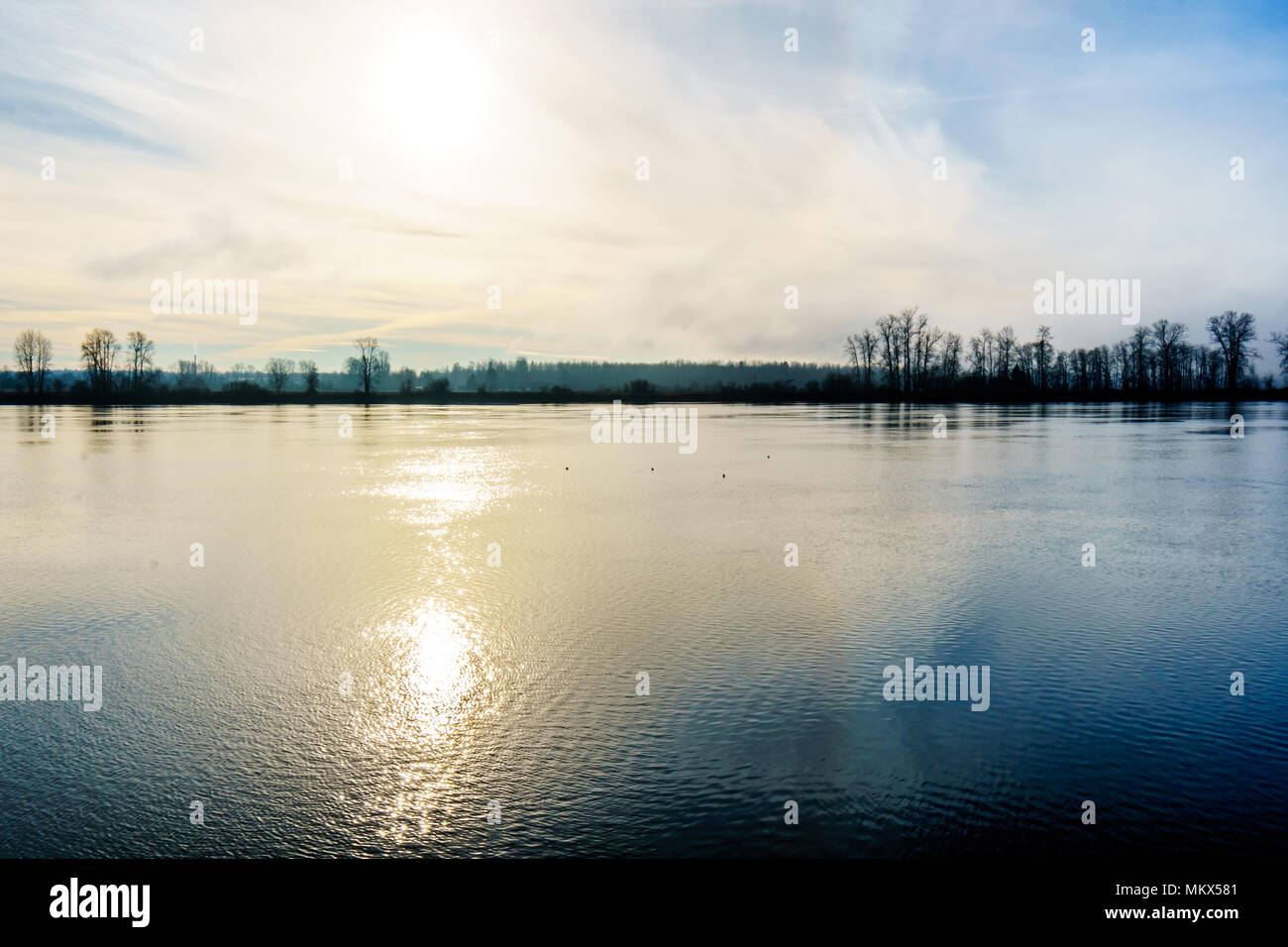 Una bella scena invernale del Fraser Fiume come visto da Pitt Prati e Maple Ridge nella splendida British Columbia, Canada Foto Stock