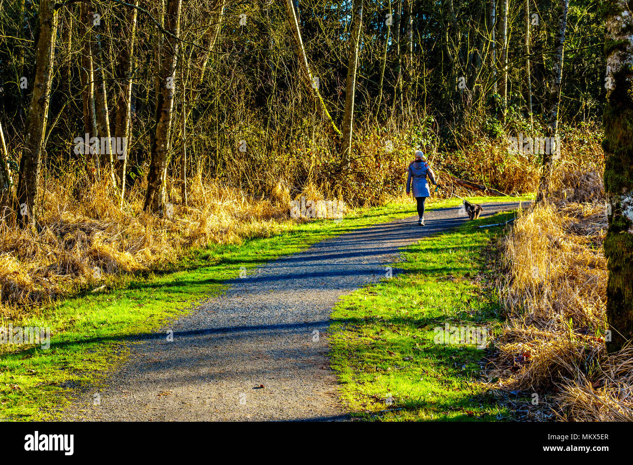 Una donna che cammina il cane in una soleggiata domenica pomeriggio a Campbell Valley Park in British Columbia, Canada Foto Stock