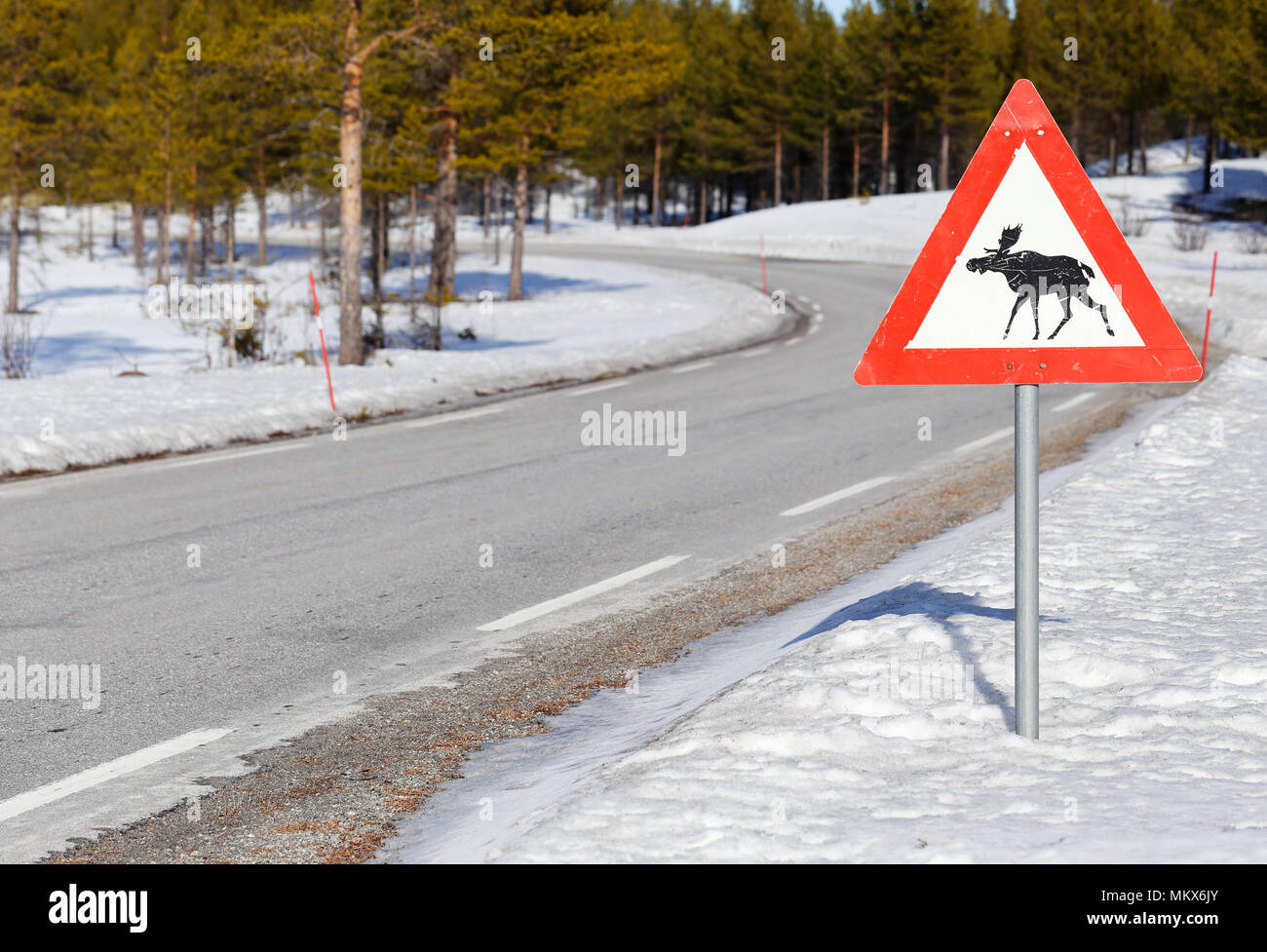 Norwegian cartello stradale attenti di alci. Foto Stock