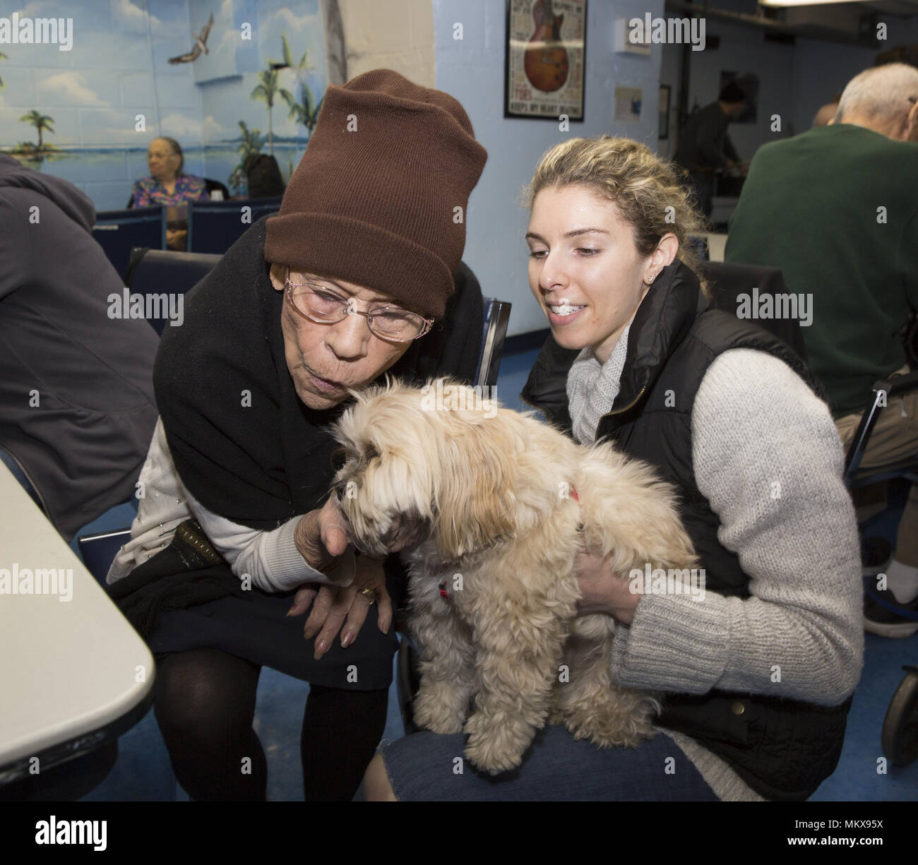 Terapista del cane con cane terapia visiti regolarmente un senior center sulla Lower East Side di Manhattan, New York City. Foto Stock