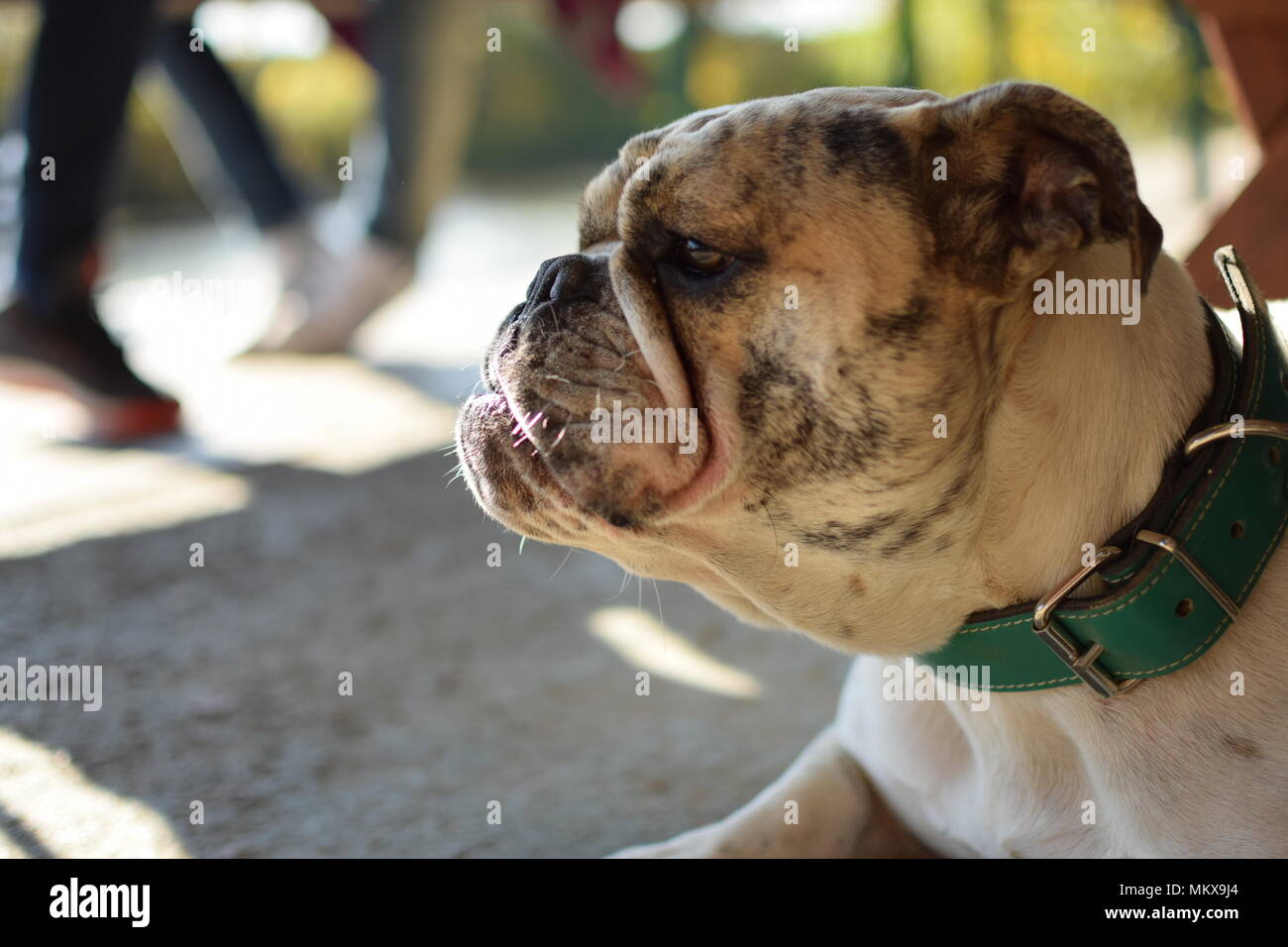In faccia Foto Stock