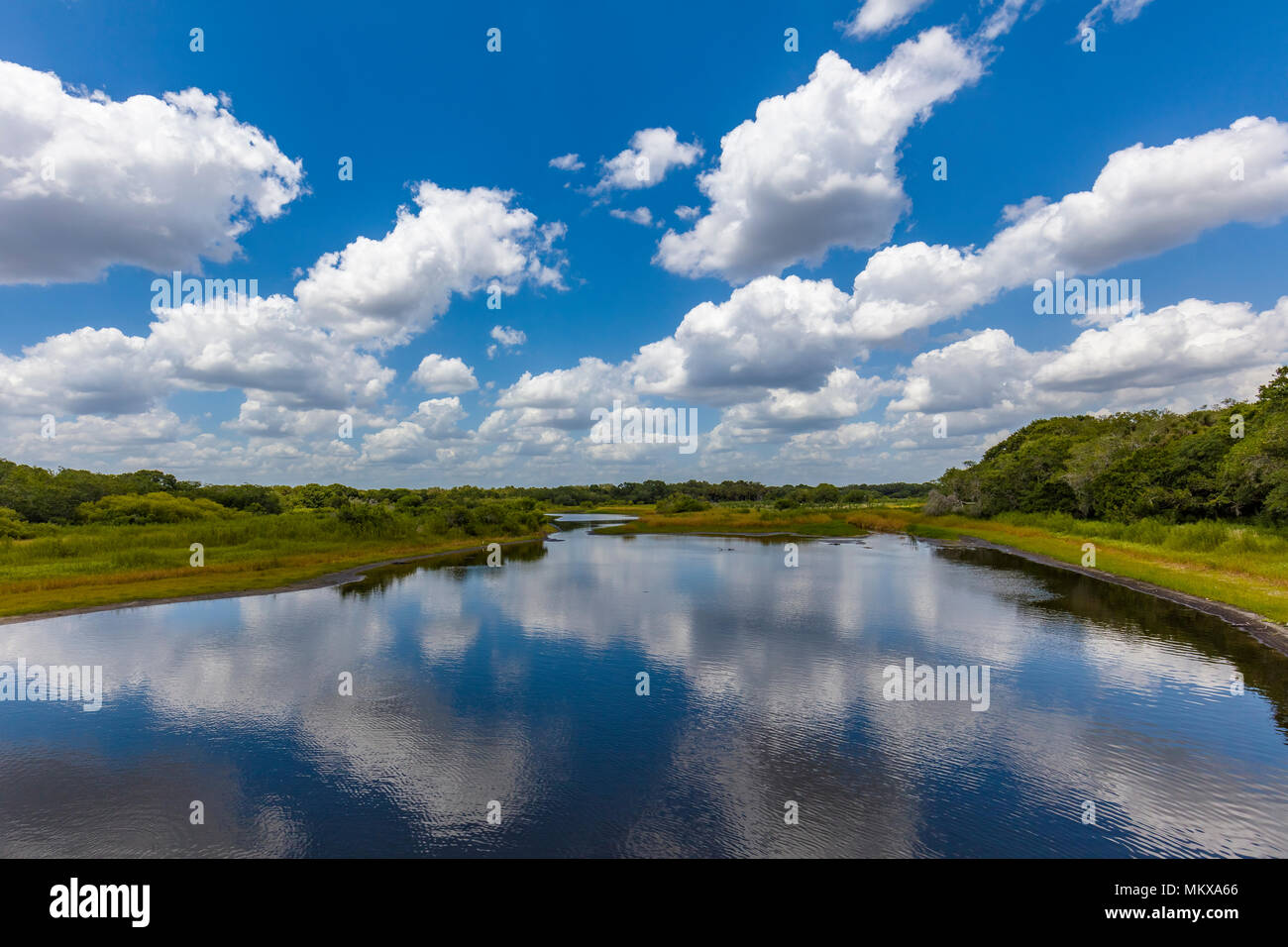Il bianco delle nuvole in cielo blu che riflette in Myakka River 1n Myakka River State Park in Sarasota Florida Foto Stock