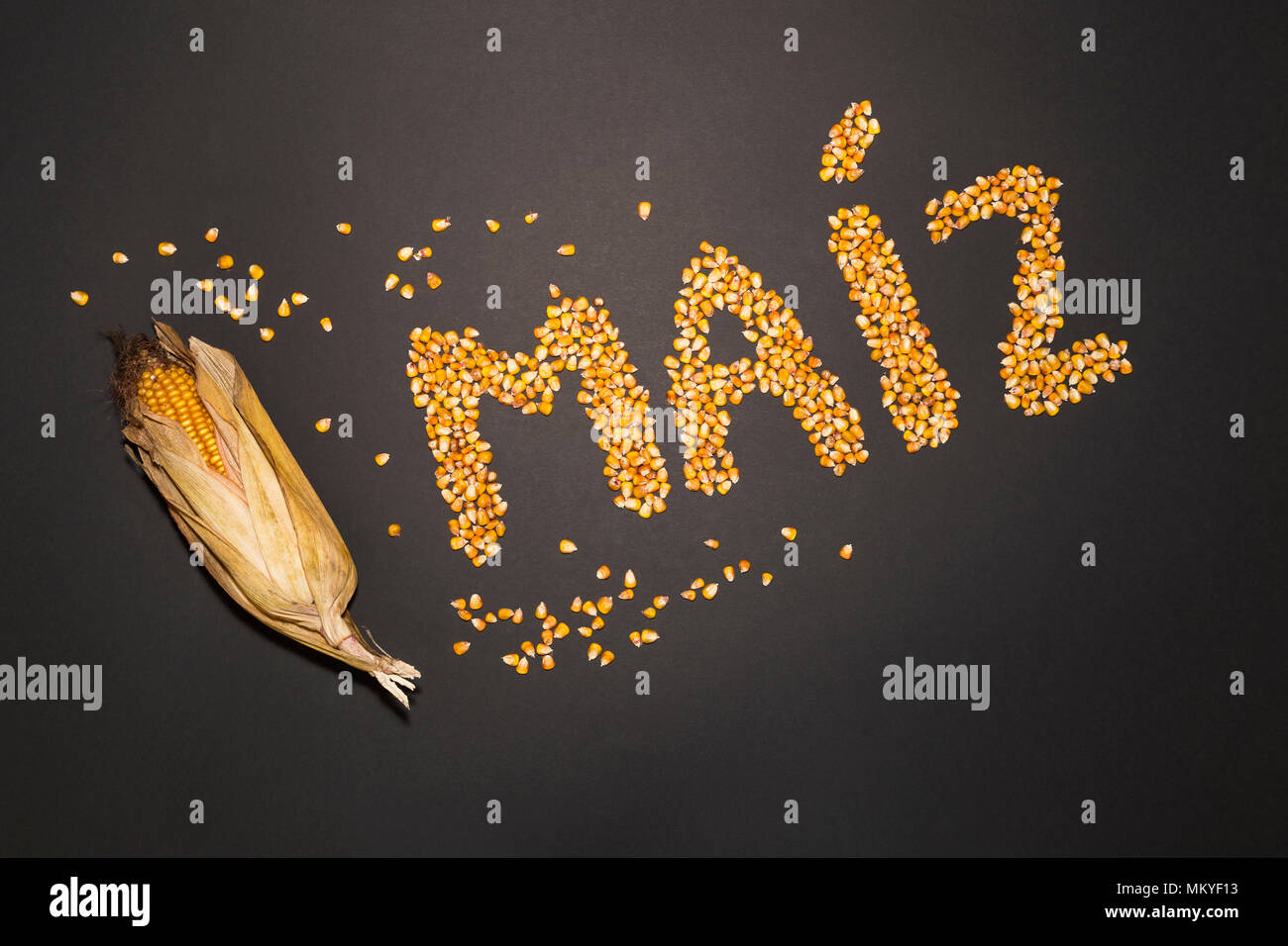 Concetto della parola mais in lingua spagnola formato a secco con semi di mais su sfondo nero e decorate con golden pannocchie di granoturco secco e semi di mais Foto Stock