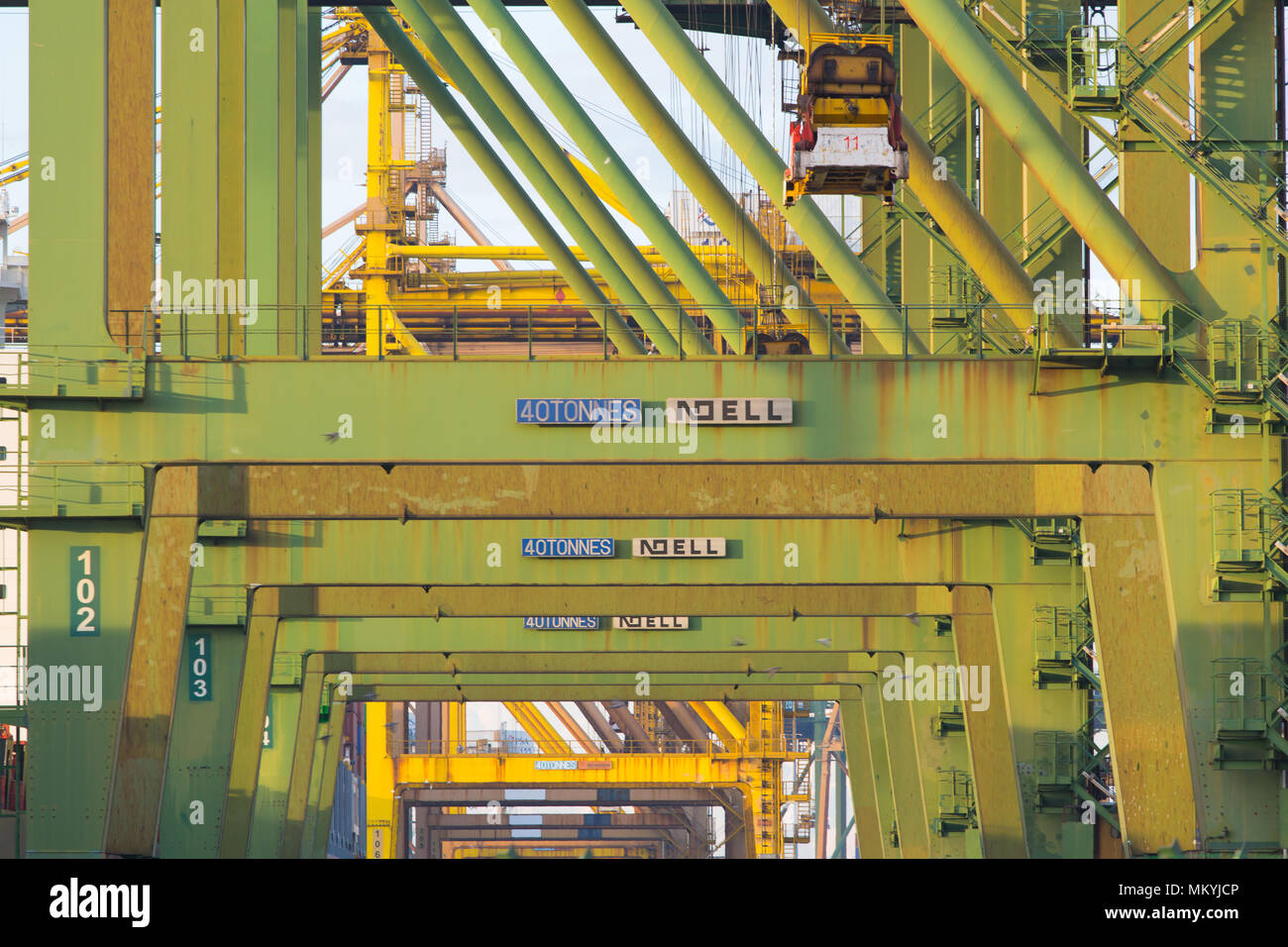 Primo piano immagine della gru portuale industriale per container nel processo di sollevamento al mattino. Foto Stock