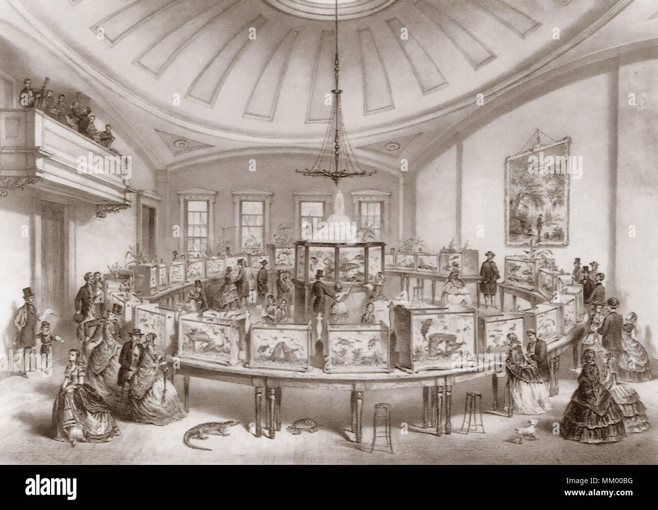 Il taglio ed il maggiordomo Grand Aquaria. Boston. 1859 Foto Stock