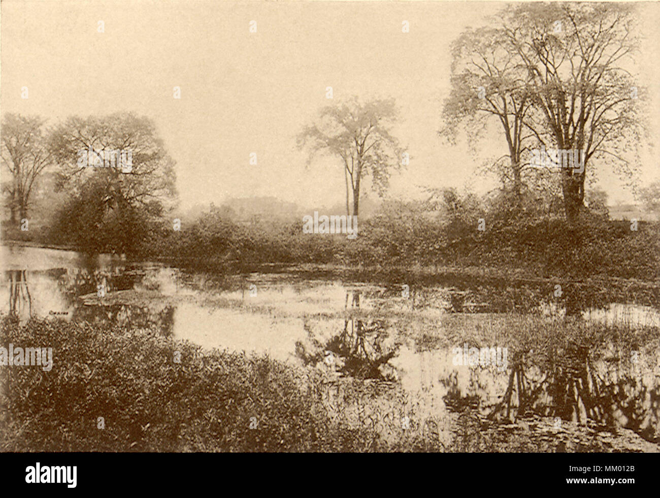 Charles River. Harding. 1920 Foto Stock