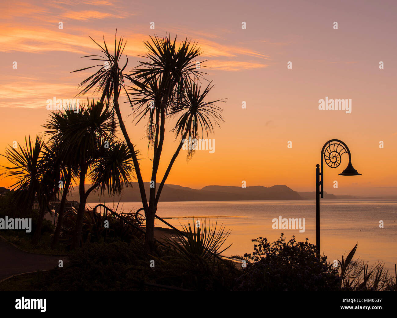 Lyme Regis, Dorset, Regno Unito. Il 9 maggio 2018. Regno Unito: Meteo iconici lampade stradali e gli alberi si stagliano contro il bagliore arancione del cielo come il sole sorge oltre la Jurassic Coast a Lyme Regis su un altro bene e la mattina di sole. Tempo fresco più tardi porterà e fine all'ondata di calore che molti hanno apprezzato questa settimana. Credito: Celia McMahon/Alamy Live News. Foto Stock