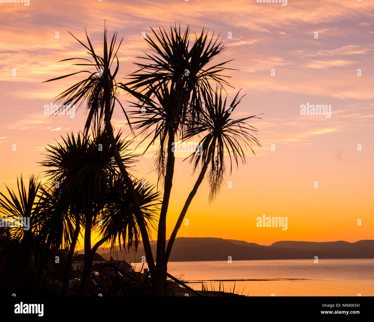 Lyme Regis, Dorset, Regno Unito. Il 9 maggio 2018. Regno Unito: Meteo iconici lampade stradali e gli alberi si stagliano contro il bagliore arancione del cielo come il sole sorge oltre la Jurassic Coast a Lyme Regis su un altro bene e la mattina di sole. Tempo fresco più tardi porterà e fine all'ondata di calore che molti hanno apprezzato questa settimana. Credito: Celia McMahon/Alamy Live News. Foto Stock