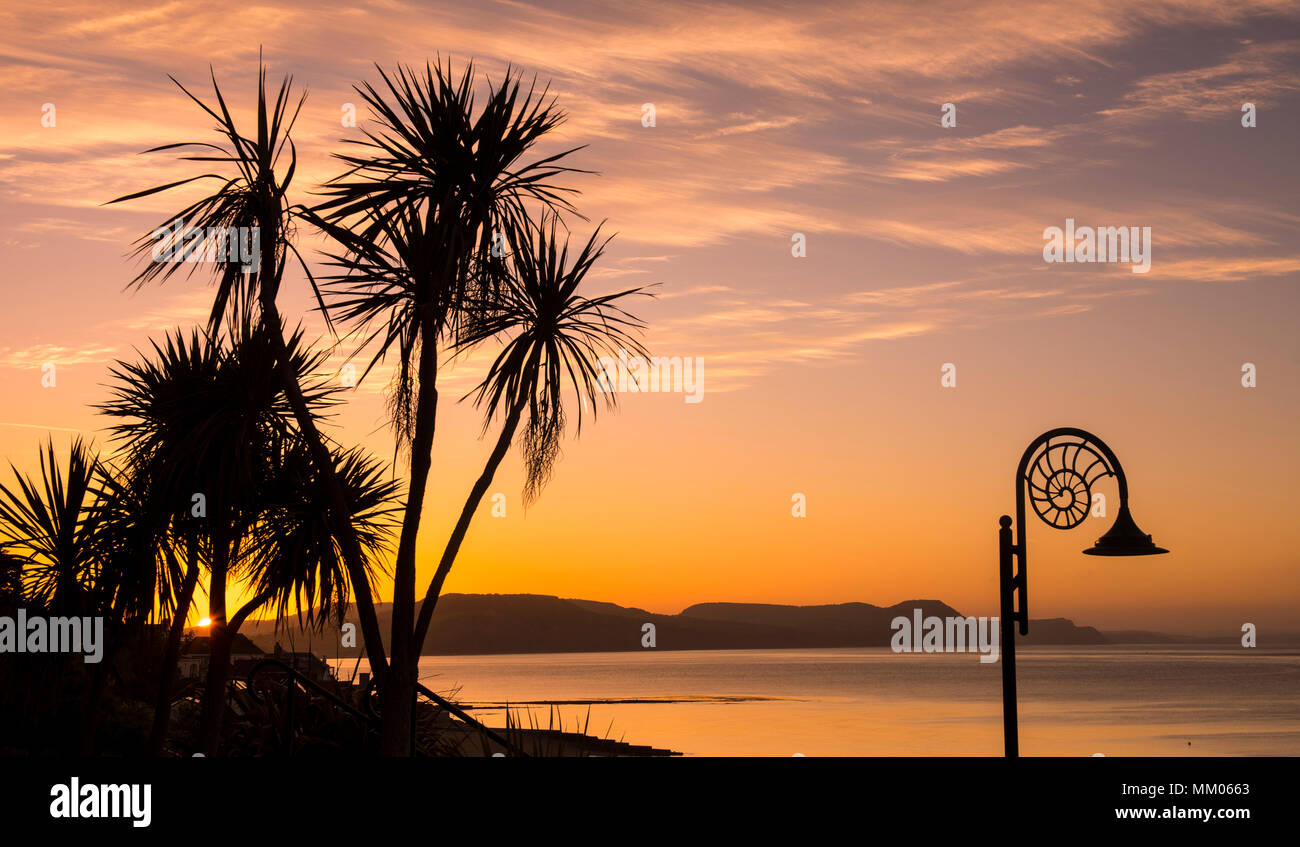 Lyme Regis, Dorset, Regno Unito. Il 9 maggio 2018. Regno Unito: Meteo iconici lampade stradali e gli alberi si stagliano contro il bagliore arancione del cielo come il sole sorge oltre la Jurassic Coast a Lyme Regis su un altro bene e la mattina di sole. Tempo fresco più tardi porterà e fine all'ondata di calore che molti hanno apprezzato questa settimana. Credito: Celia McMahon/Alamy Live News. Foto Stock