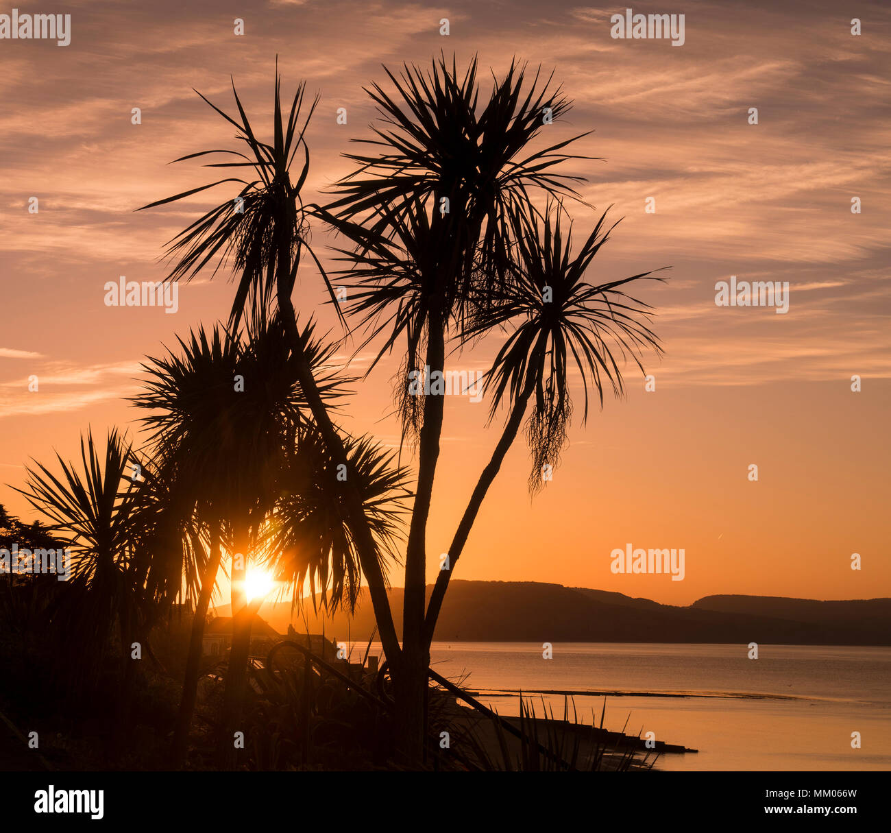 Lyme Regis, Dorset, Regno Unito. Il 9 maggio 2018. Regno Unito: Meteo iconici lampade stradali e gli alberi si stagliano contro il bagliore arancione del cielo come il sole sorge oltre la Jurassic Coast a Lyme Regis su un altro bene e la mattina di sole. Tempo fresco più tardi porterà e fine all'ondata di calore che molti hanno apprezzato questa settimana. Credito: Celia McMahon/Alamy Live News. Foto Stock