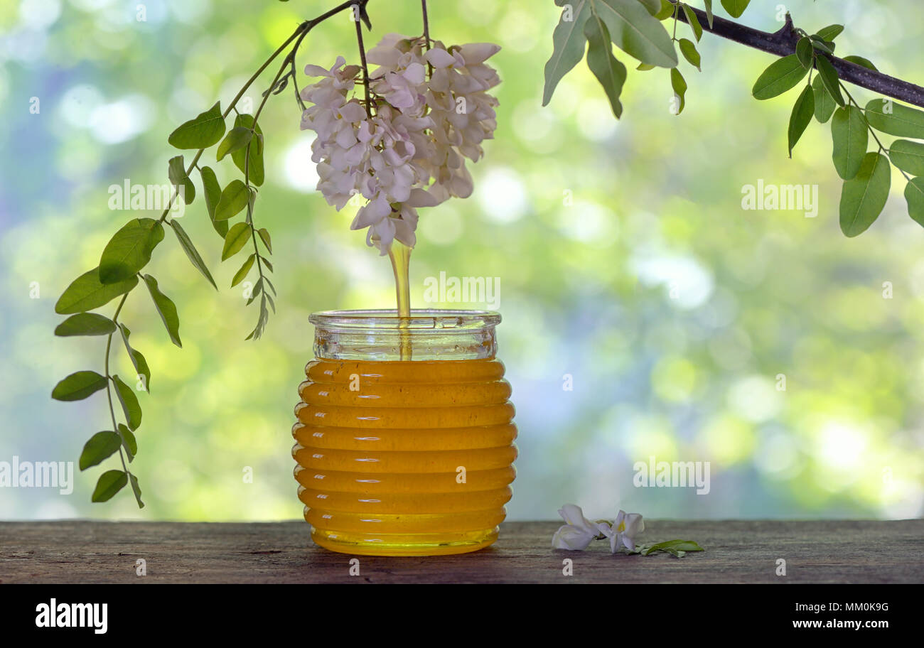 Un vasetto di miele di fiori di acacia su tavola Foto Stock