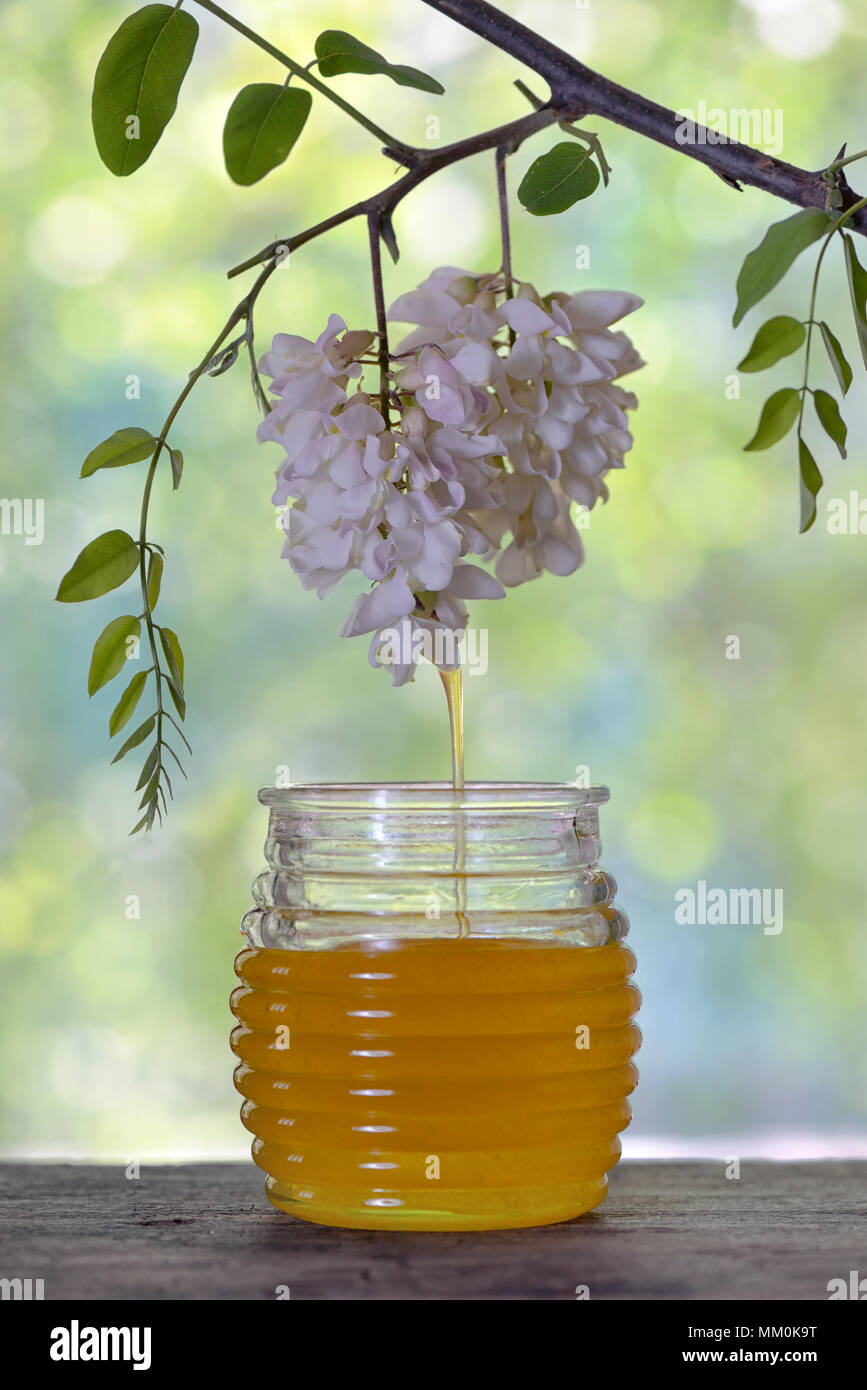 Un vasetto di miele di fiori di acacia su tavola Foto Stock