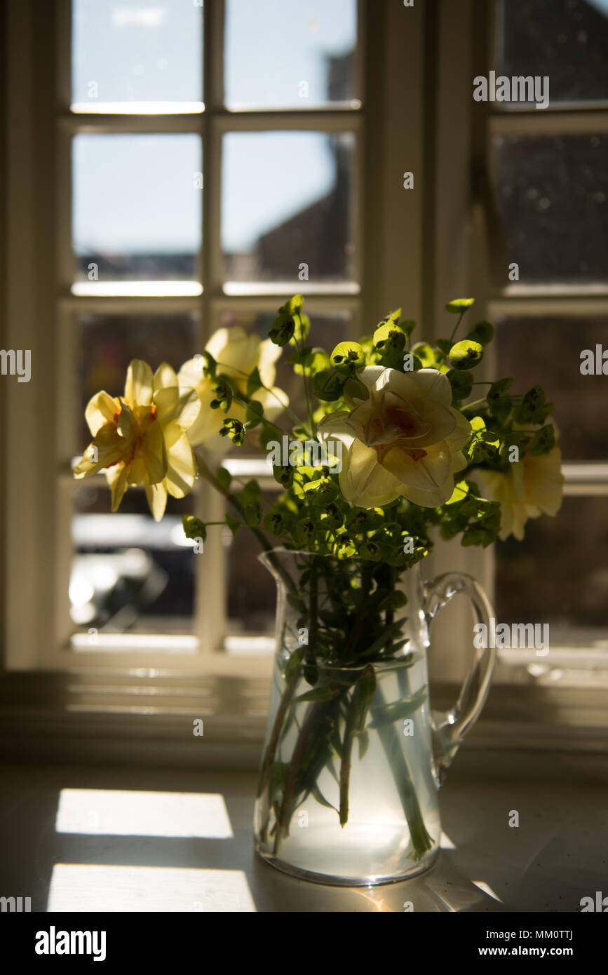 Una caraffa di vetro con fiori gialli siede su un davanzale in una luce naturale soffusa, che getta ombre in un ambiente interno tranquillo con viste oltre il windo Foto Stock