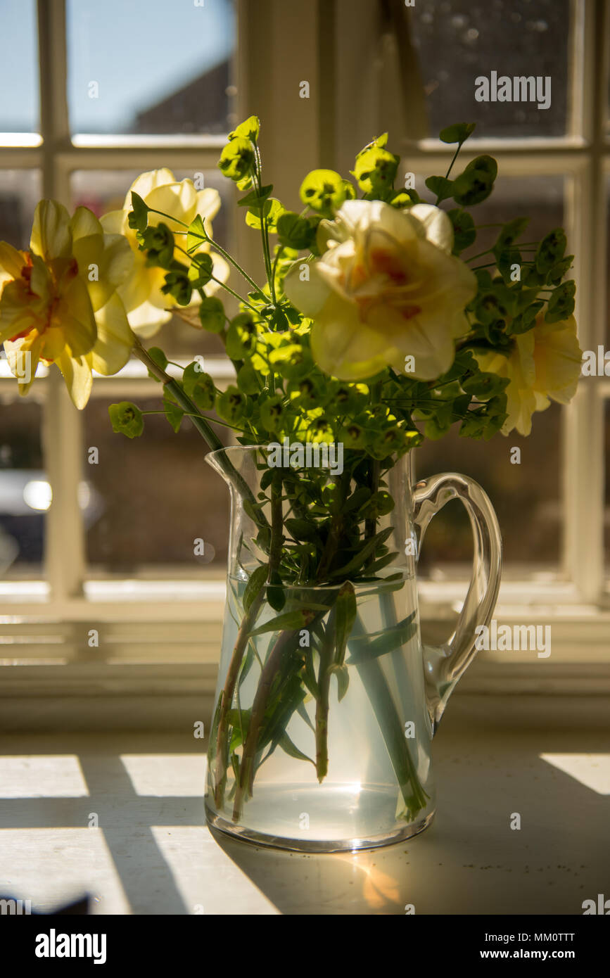 Una caraffa di vetro con fiori gialli siede su un davanzale in una luce naturale soffusa, che getta ombre in un ambiente interno tranquillo con viste oltre il windo Foto Stock