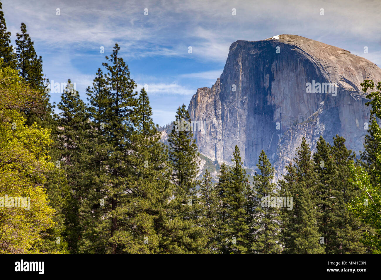 Half Dome, Parco Nazionale di Yosemite, California, Stati Uniti. Foto Stock