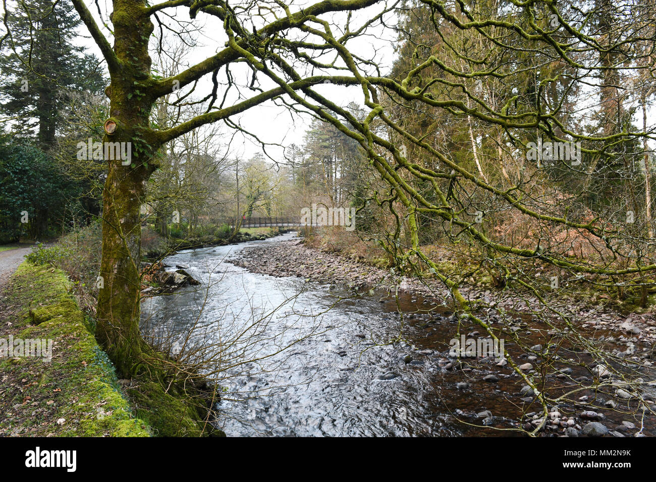 Il fiume Tawe fluisce attraverso i motivi di Craig y nos nella valle di Swansea, Galles. Foto Stock