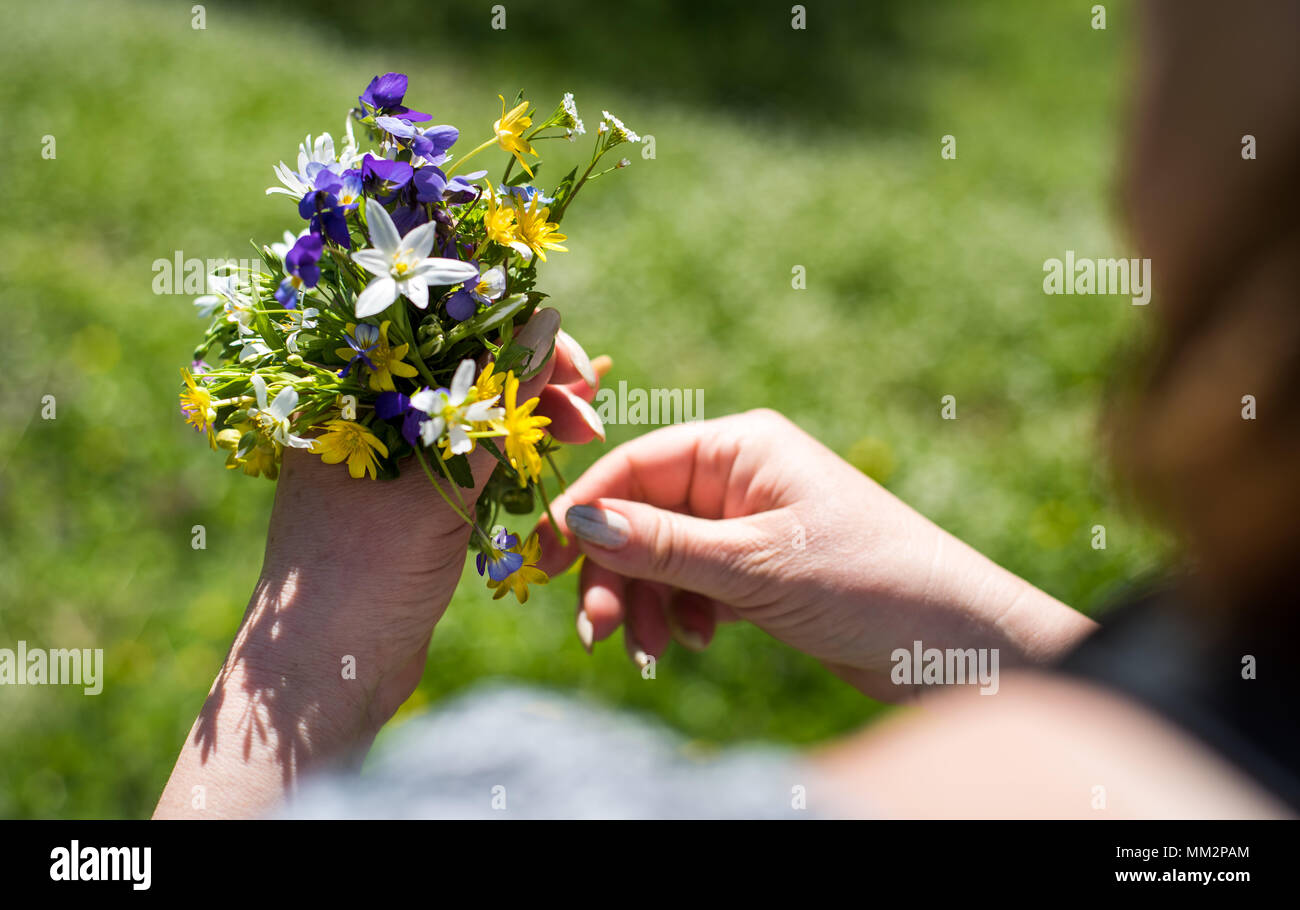 Donna che mantiene la molla bouquet di fiori nel campo Foto Stock