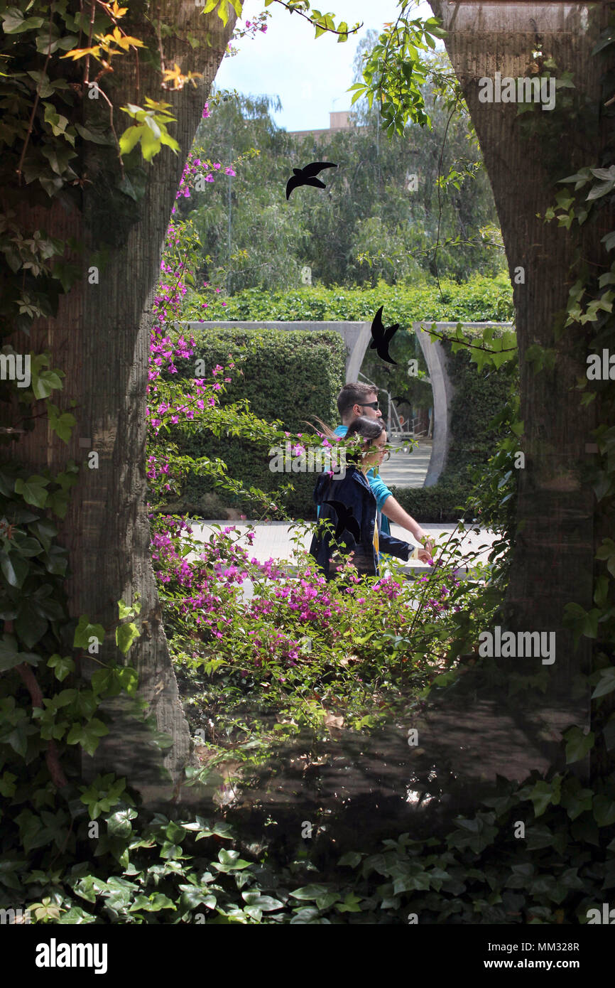 Giovane finestra di trogolo in Parc del centro del Poblenou, Barcellona Foto Stock