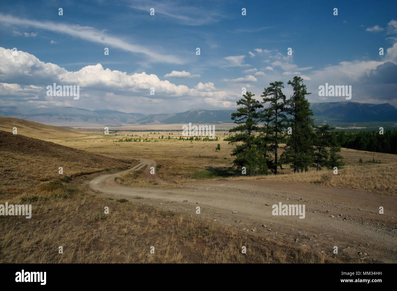 La strada attraverso un deserto secco steppa su un altopiano di montagna altopiano con erba gialla alberi con gamme di colline le rocce su un orizzonte skyline Kurai Altai M Foto Stock La strada attraverso un deserto secco steppa su un altopiano di montagna altopiano con erba gialla alberi con gamme di colline le rocce su un orizzonte skyline Kurai Altai M Foto Stock