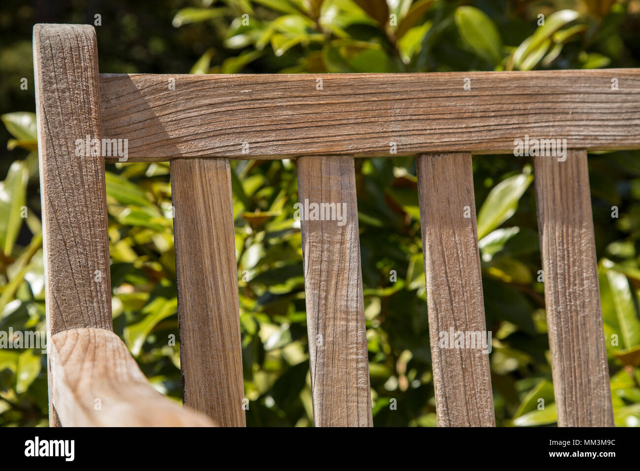 Un teak panchina da giardino pulito pronto per una fresca Olio teak. Foto Stock