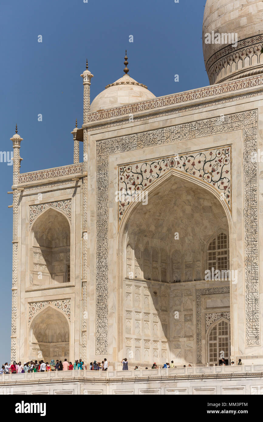 La calligrafia di Persiano di poesie e motivi vegetali decorare il Taj Mahal, Agra, Uttar Pradesh, India Foto Stock