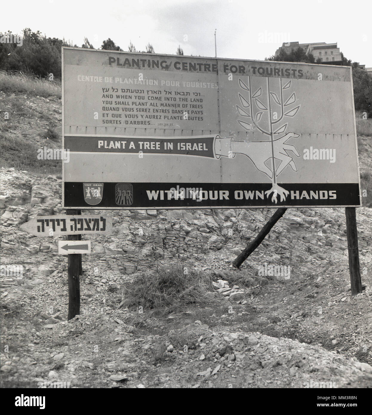 Degli anni Cinquanta, foto storiche da parte di Israele di un segno che indica questa zona è un "centro di semina per turisti". In questo momento i visitatori del paese sono stati incoraggiati dagli israeliani organizzazione turistica all'impianto di nuovi alberi in un numero selezionato di brulle aree hilside. Foto Stock