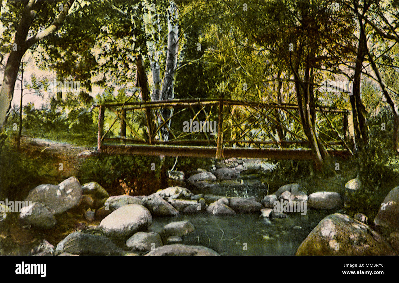 Ponte rustico. Idyllwild. 1910 Foto Stock