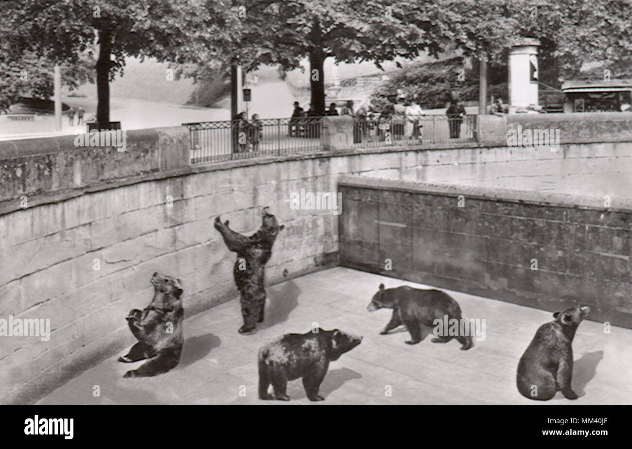 Bear Pit. Berna. 1940 Foto Stock