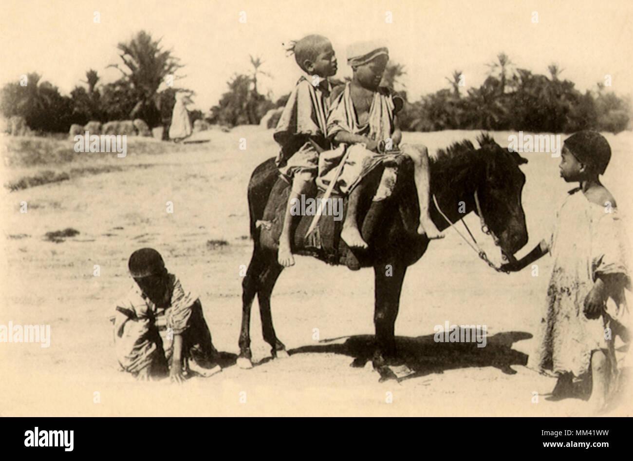 I bambini su un asino. Algers. 1910 Foto Stock