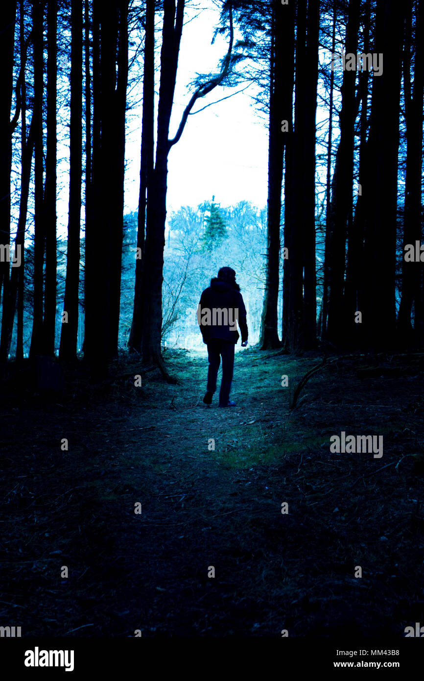 Silhouette di uomo a camminare in legno scuro,toni blu Foto Stock