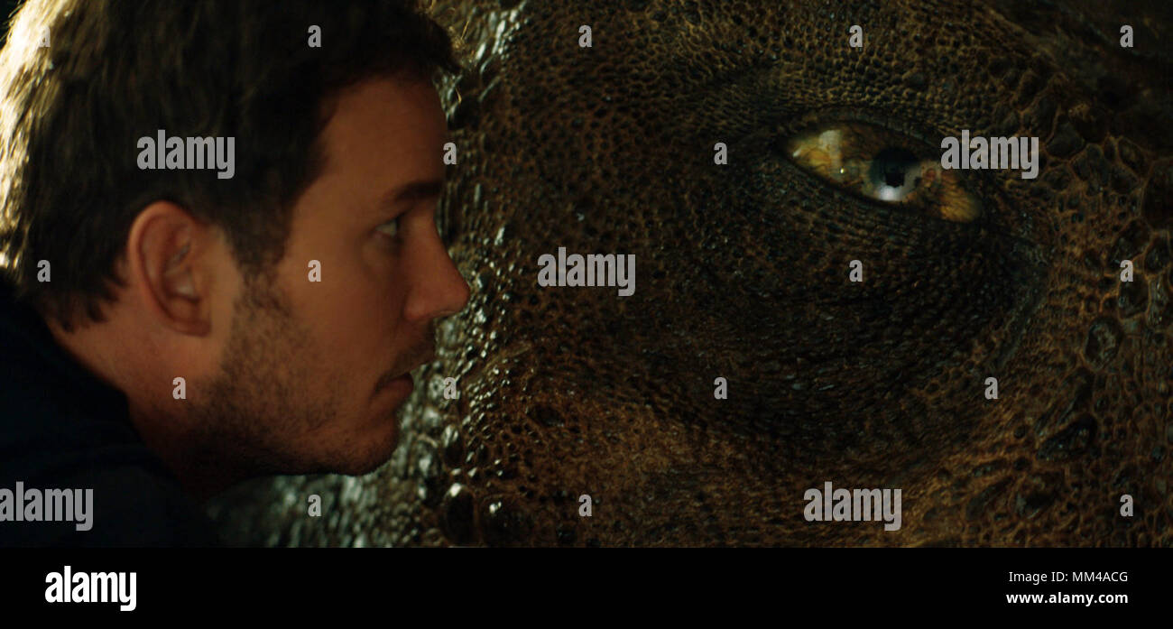 Mondo giurassico: caduto regno è un imminente American science fiction film di avventura diretto da J. A. Bayona. Il film è un sequel di mondo giurassico (2015) ed è il quinto episodio della Jurassic Park film della serie, così come la seconda parte di un progetto di mondo giurassico trilogia. Questa fotografia è per il solo uso editoriale ed è il copyright del film company e/o il fotografo assegnato dal film o società di produzione e può essere riprodotto solo da pubblicazioni in congiunzione con la promozione del film di cui sopra. Un credito per il film company è richiesto. La foto Foto Stock