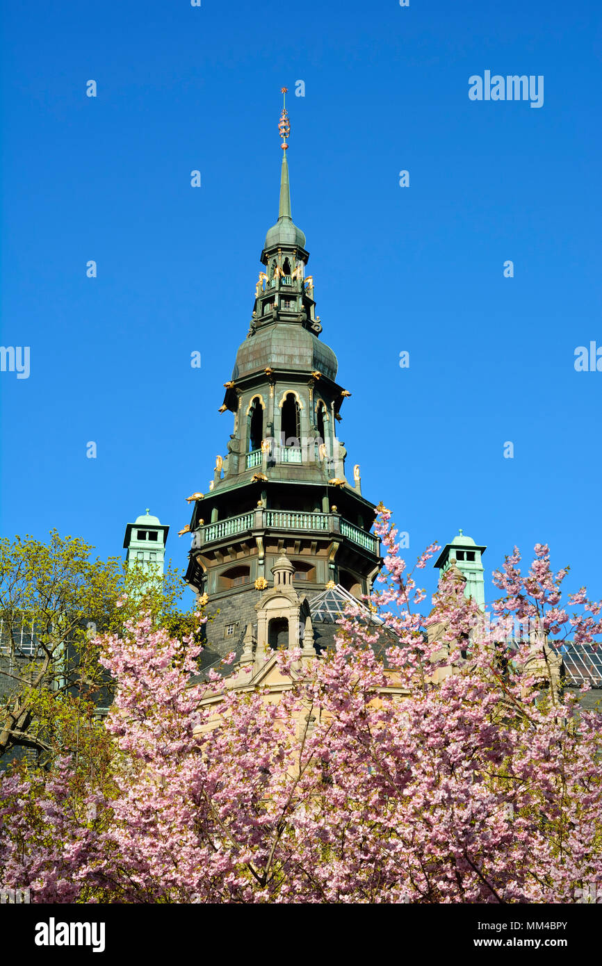 Dettaglio della Nordiska Museet (Museo Nordico). Stoccolma, Svezia Foto Stock