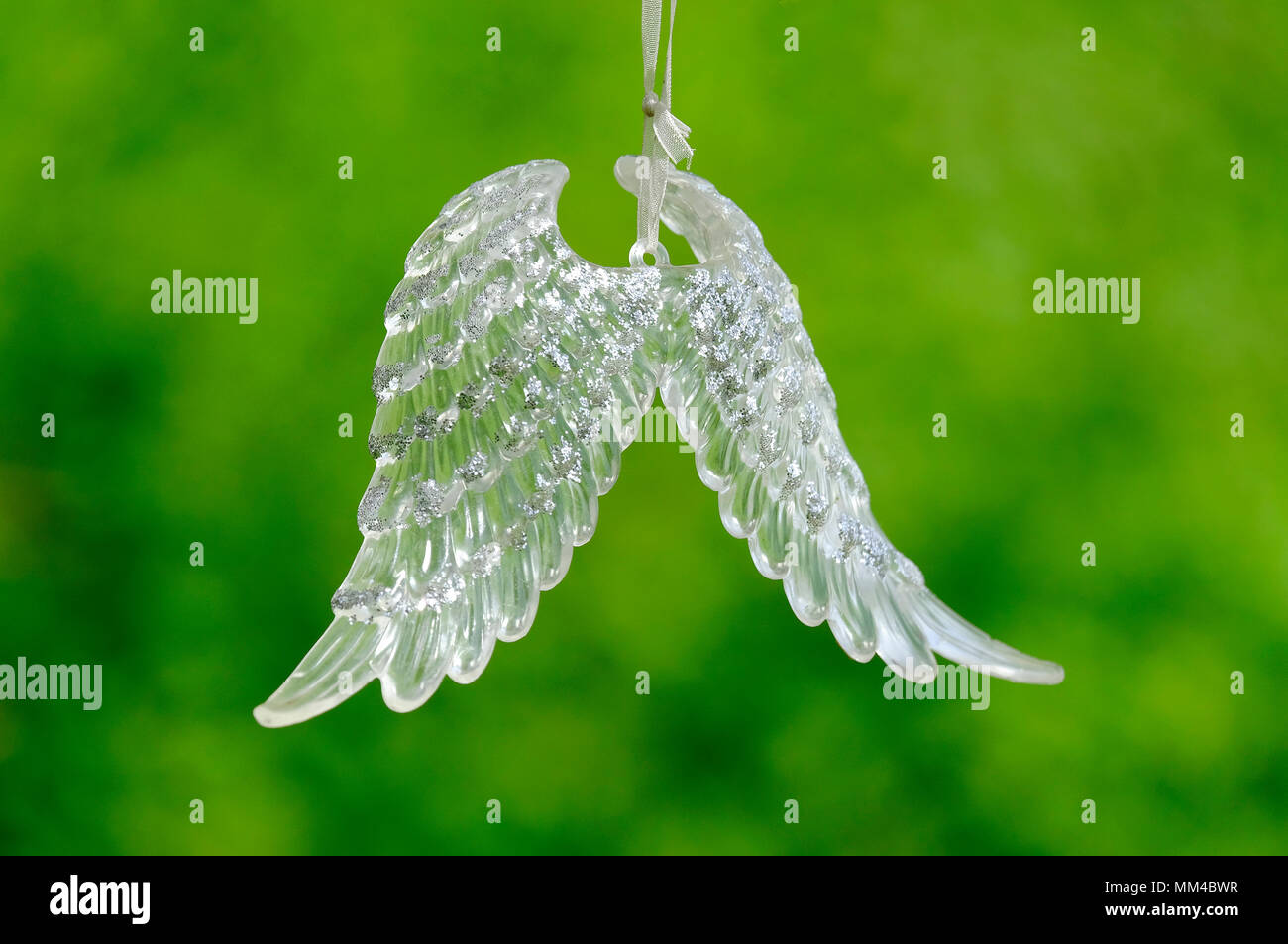 Glass angel wings appeso da stringa Foto Stock