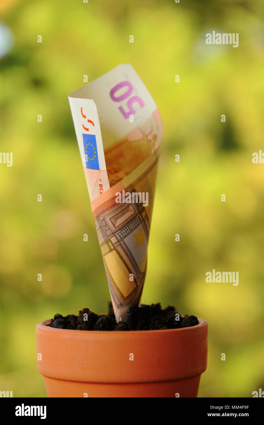 Crescendo il denaro nel vaso di fiori su sfondo sfocato Foto Stock