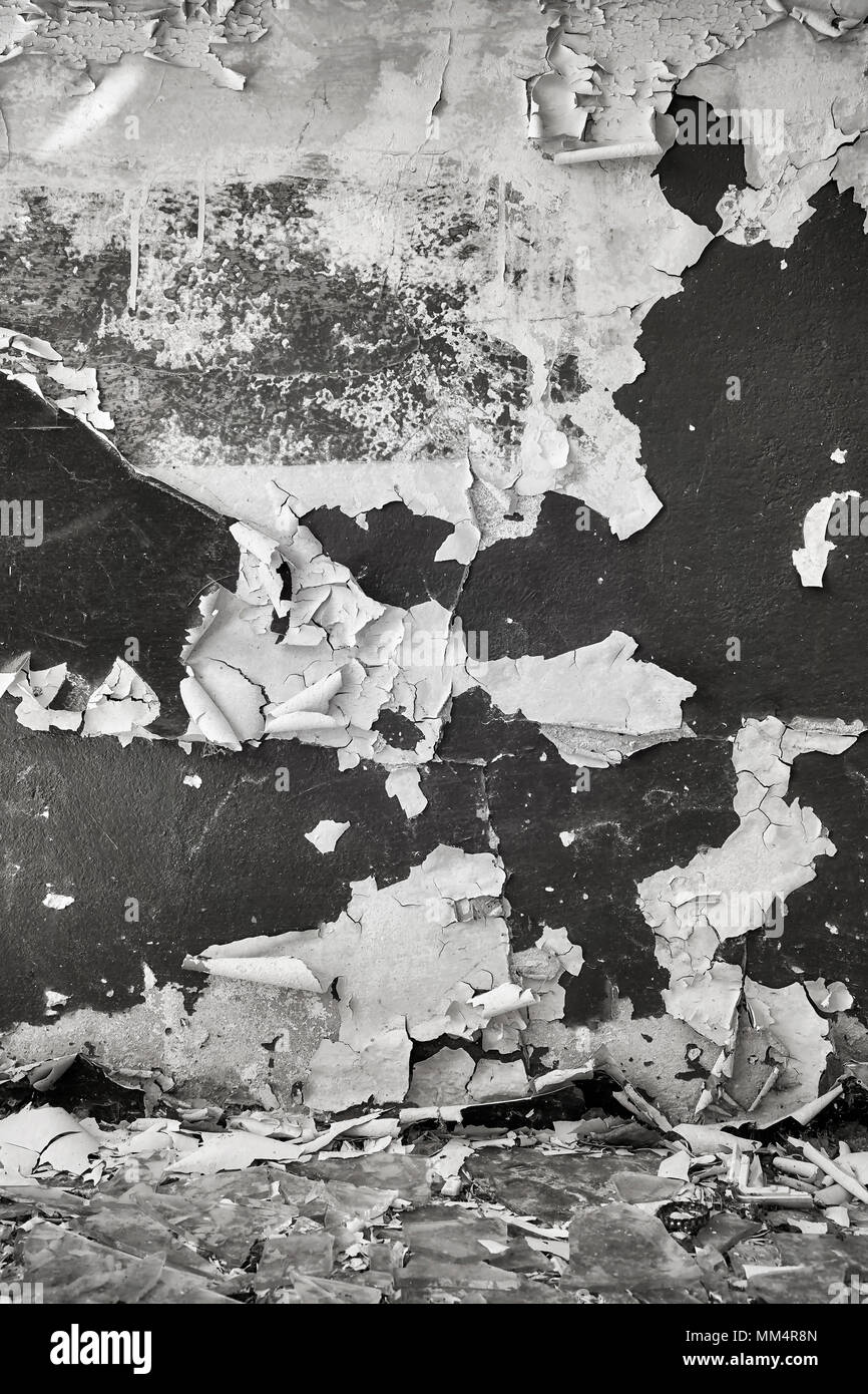 Immagine in bianco e nero di un vecchio muro con peeling vernice, grunge background. Foto Stock