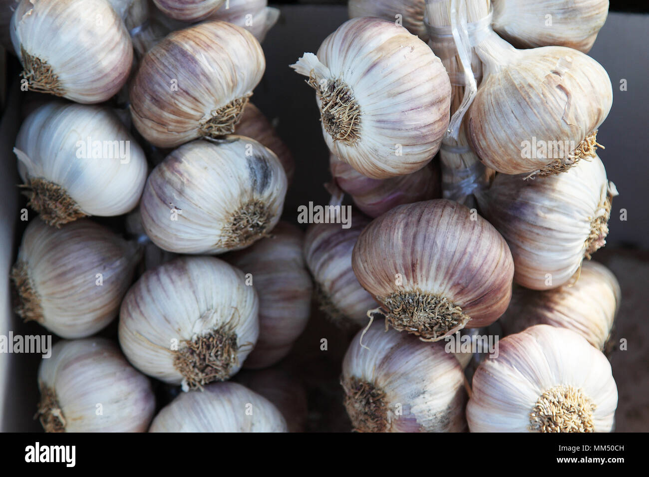 Aglio fresco appeso a un mercato in Portogallo Foto Stock