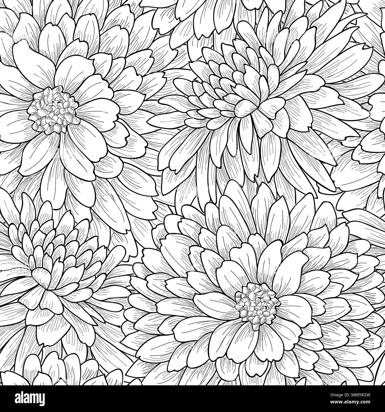 Floral seamless pattern. Crisantemo fiore dello sfondo. Giardino fioriscono texture con fiori. Illustrazione Vettoriale