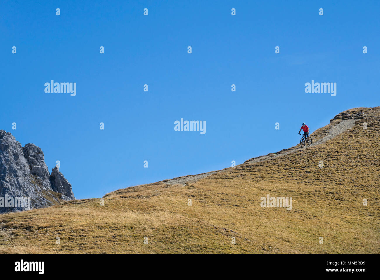 Mountain Biker cavalcare giù per la collina nel paesaggio alpino, Tirolo, Austria Foto Stock