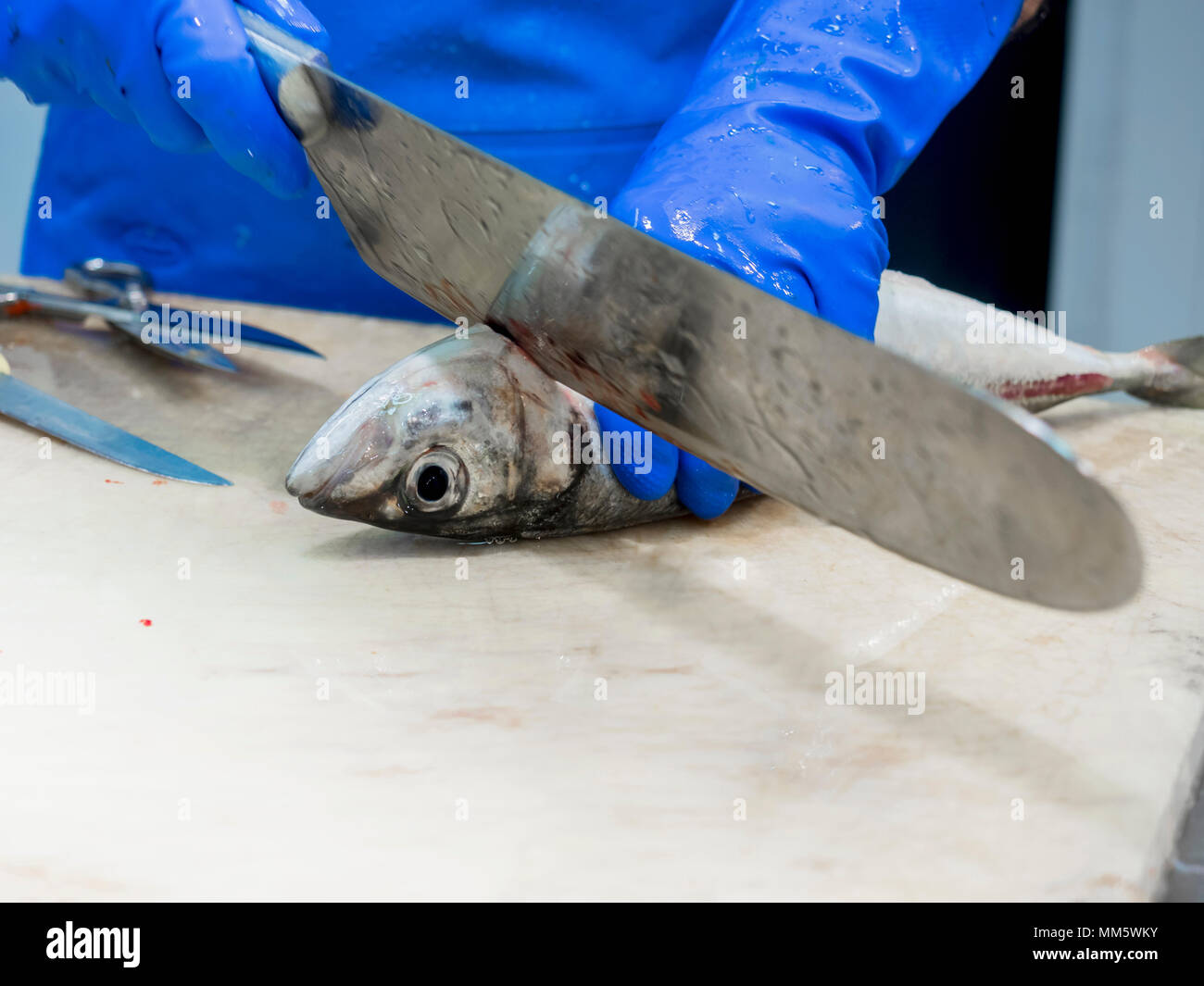 Close-up di uomo pesce di trinciatura Foto Stock