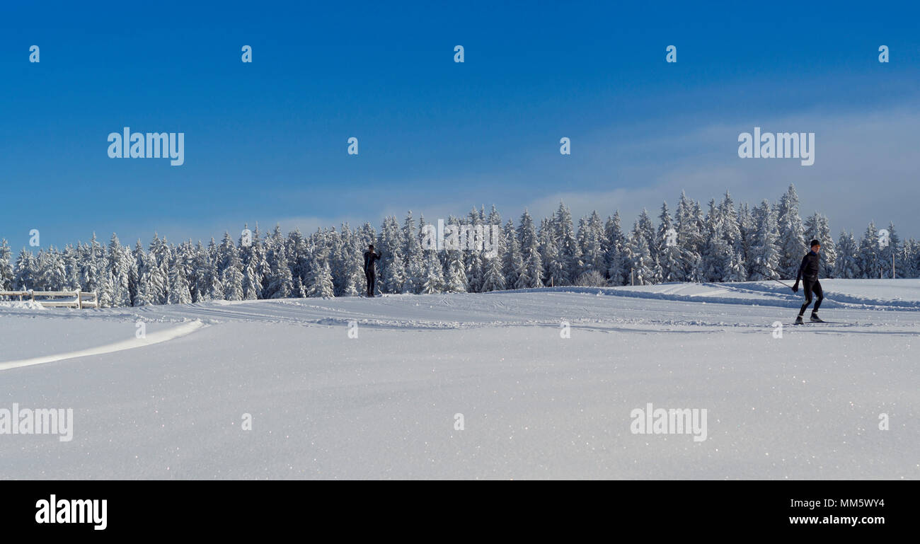 Cross-country sciatore su pista di sci Thurnerspur nella Foresta Nera vicino San Märgen, Hochschwarzwald, "Baden-Württemberg", Germania Foto Stock