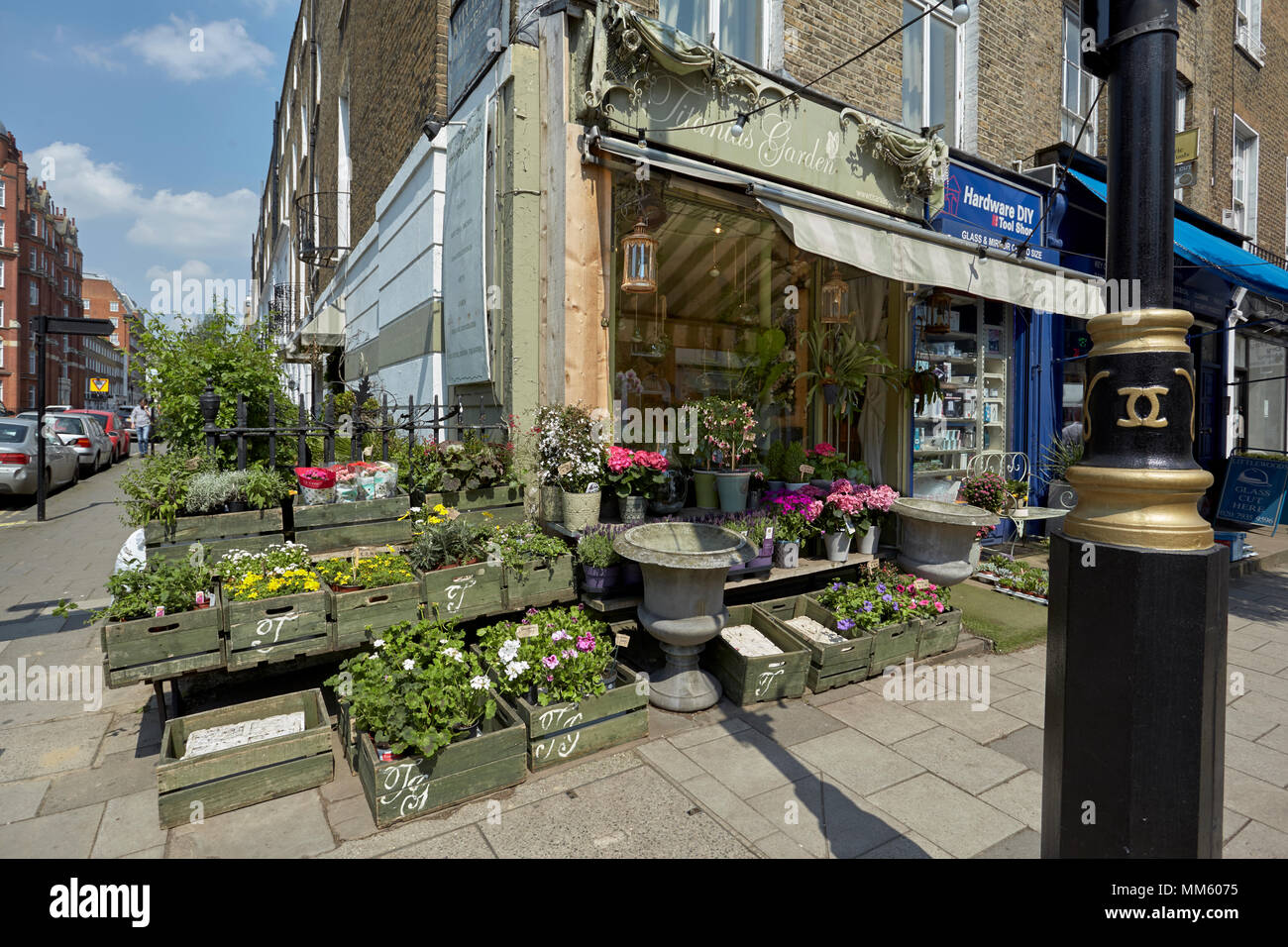 Shopfront di Titanius giardino della città di Westminster. Foto Stock