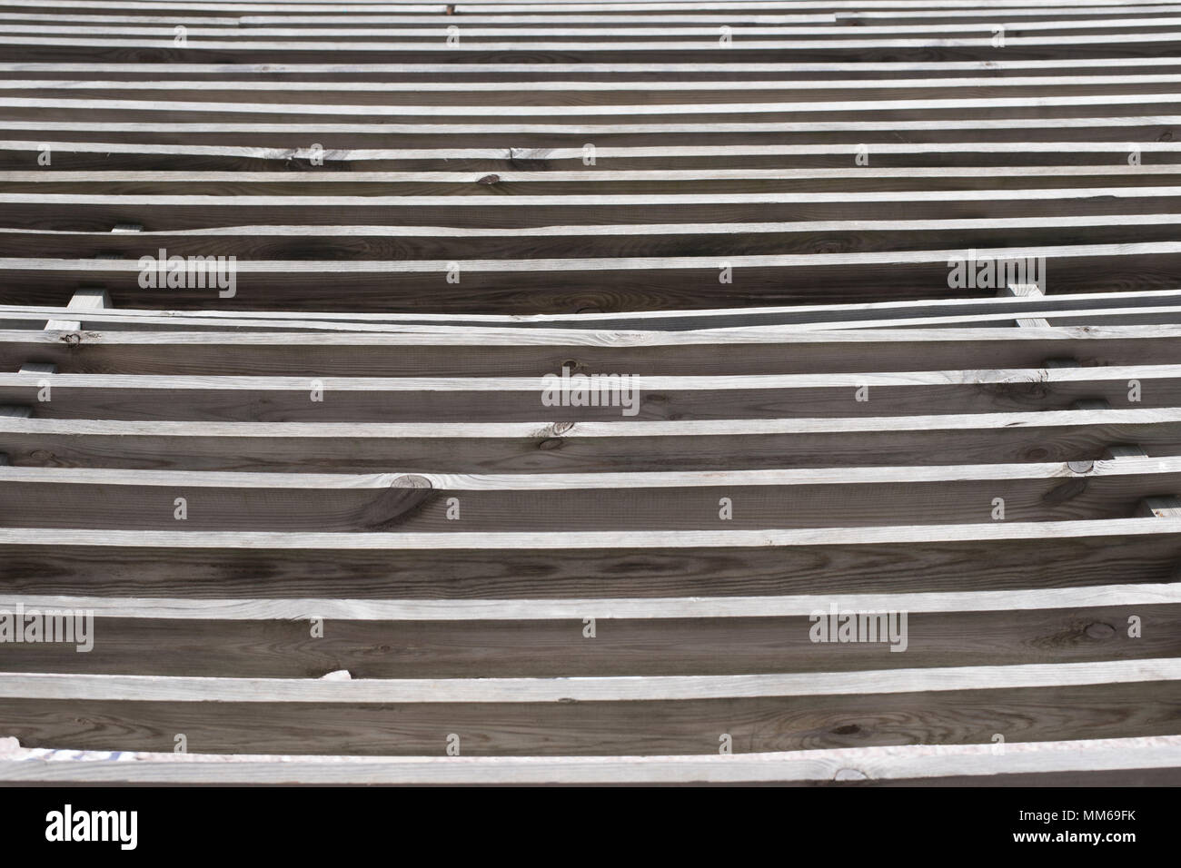 Schede in parallelo per una tettoia sulla spiaggia Foto Stock