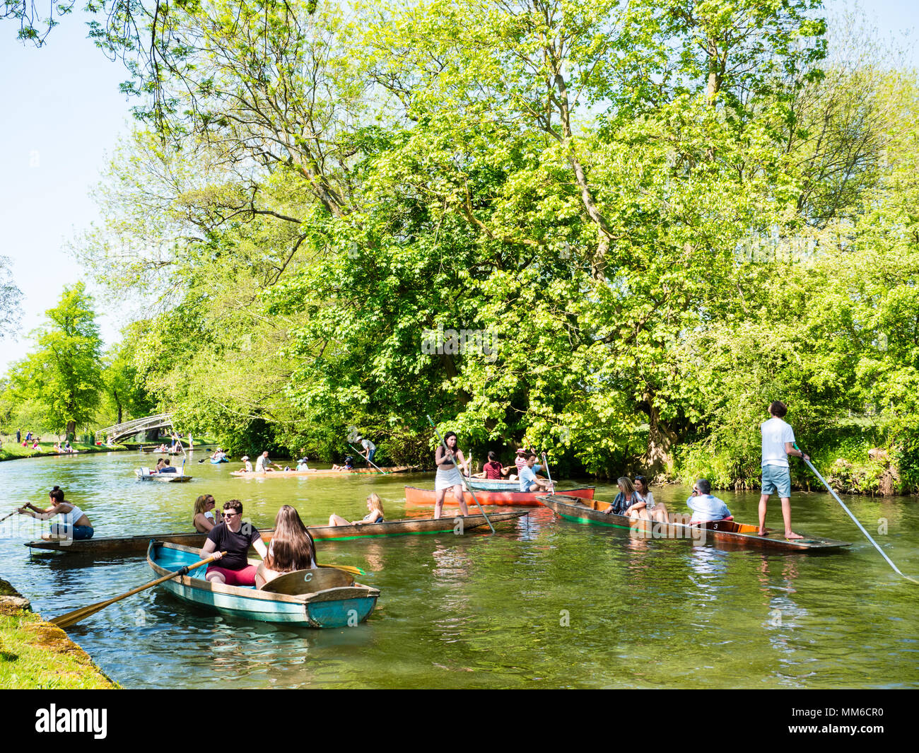 Punting, fiume Cherwell, Christchurch Prato a piedi, la Chiesa di Cristo, Oxford, Inghilterra, Regno Unito, GB. Foto Stock